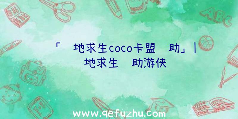 「绝地求生coco卡盟辅助」|绝地求生辅助游侠